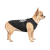 Pet Fashion борцівка_1