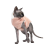 Pet Fashion Cat_1