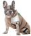 Pet Fashion Chip жилет для собак со светодиодом_2