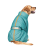 Pet Fashion Cold Active_1