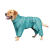 Pet Fashion Cold Active_2