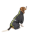 Pet Fashion Cold Active_1