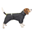 Pet Fashion Cold Active_2