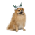 Pet Fashion Deer_1
