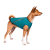 Pet Fashion E.Vest_1