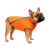 Pet Fashion E.Vest_1