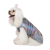 Pet Fashion Fashion_2
