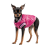 Pet Fashion Grace_2