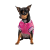 Pet Fashion Grace_1