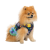 Pet Fashion Grass_1