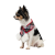 Pet Fashion Happy_2