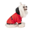 Pet Fashion Holiday_1
