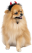 Pet Fashion Imp ріжки для собак, святкові_1