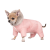 Pet Fashion Judy_1