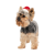 Pet Fashion колпак_2