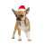 Pet Fashion колпак_1