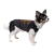 Pet Fashion Little Helper_2