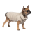Pet Fashion Lucky_2
