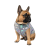 Pet Fashion Magic_1