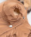 Pet Fashion Melisa комбинезон для собак, для девочки, карамельный_3