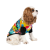 Pet Fashion Mood_1