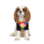 Pet Fashion Mood_2
