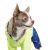 Pet Fashion Pulse_3