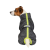 Pet Fashion Rain