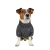 Pet Fashion Rain_1