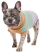 Pet Fashion Rich свитер для собак, вязаный_1