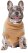 Pet Fashion Rich свитер для собак, вязаный_2