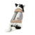 Pet Fashion Rob_2