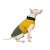 Pet Fashion Roy_5