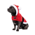 Pet Fashion Santa_3