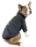 Pet Fashion Сarbon_1
