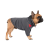 Pet Fashion Snoodie_1