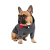 Pet Fashion Snoodie_2