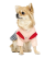 Pet Fashion Space_1