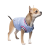 Pet Fashion Spike_2