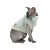 Pet Fashion Tim_1