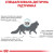 Royal Canin Anallergenic сухой корм для котов аналирдженик_3