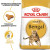 Royal Canin Bengal сухой корм для котов породы Бенгал_1