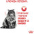 Royal Canin Dental сухой корм для котов, для зубов_2