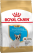 Royal Canin Puppy French Bulldog сухой корм для щенков породы Французский бульдог