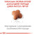 Royal Canin Puppy Jack Russel сухий корм для цуценят породи Джек Рассел_2