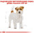 Royal Canin Jack Russel Terrier сухой корм для собак породы Джек-рассел-терьер_4