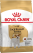 Royal Canin Jack Russel Terrier сухой корм для собак породы Джек-рассел-терьер