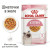 Royal Canin Kitten влажный корм для котят, в желе_1