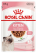 Royal Canin Kitten вологий корм для кошенят, в соусі