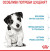Royal Canin Puppy Mini сухой корм для щенков миниатюрных пород_4